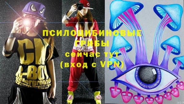 прущие грибы Пестово