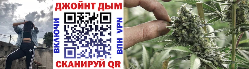 Купить  Кашин  Каннабис VHQ 